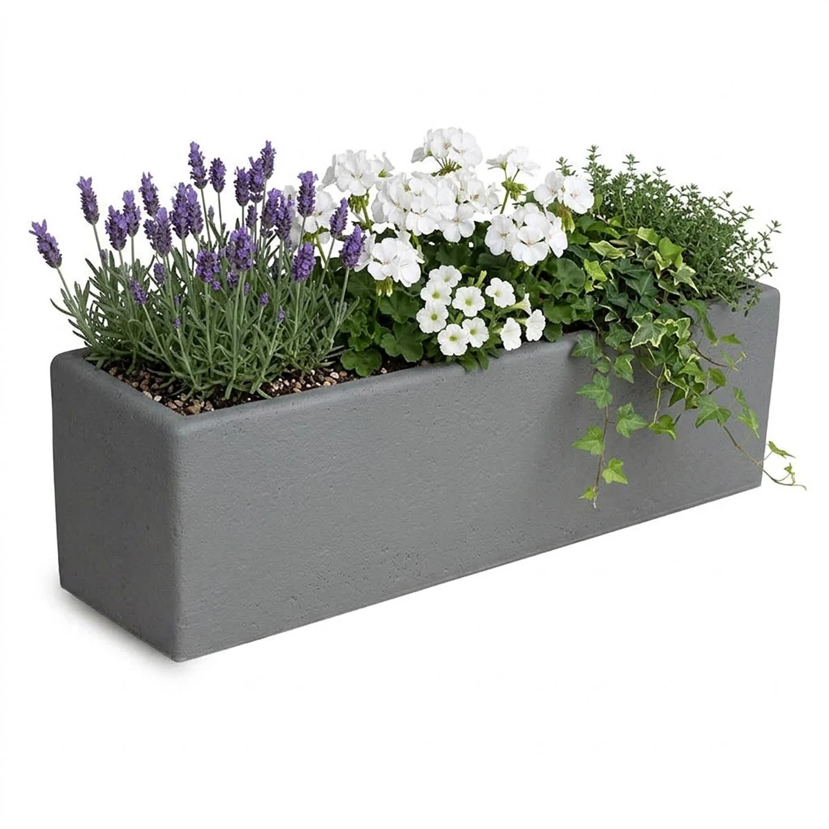 fioriera rettangolare 100x25 col. grafite, cod. 01FR100x25GR