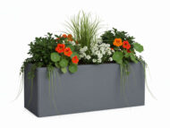 fioriera rettangolare 100x35 col. grafite, cod. 01FR100x35GR
