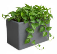 fioriera rettangolare 60x35 col. grafite, cod. 01FR60x35GR