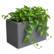 fioriera rettangolare 60x35 col. grafite, cod. 01FR60x35GR