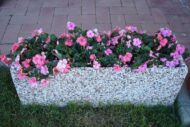 fioriera rettangolare 80x25 ghiaia colorata, cod. 01FR80C, località: Chivasso (Torino)