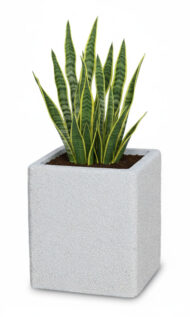 vaso quadrato 35x35 avorio, cod. 02VQ35x35A