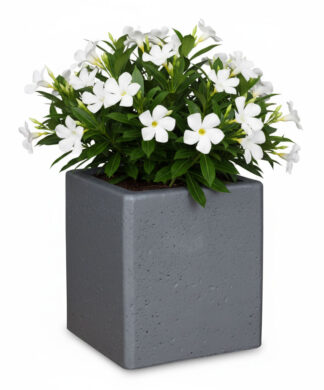 vaso quadrato 35x35 col. grafite, cod. 02VQ35x35GR