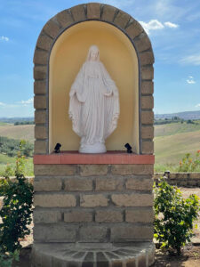 <a href="/prodotti/articoli-sacri-nicchie-madonne/madonna-immacolata-in-marmoresina/">statua della Madonna Immacolata</a> in marmoresina, altezza 100 cm, cod. 25MIM100MR, località: Roma statua della Madonna Immacolata in marmoresina, altezza 100 cm, cod. 25MIM100MR, località: Roma