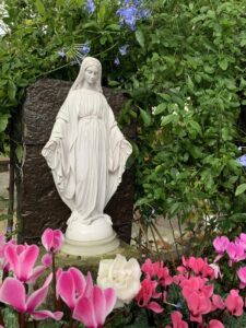 <a href="/prodotti/articoli-sacri-nicchie-madonne/madonna-immacolata-in-marmoresina/">statua della Madonna Immacolata</a> in marmoresina, altezza 43 cm, cod. 25MIM40MR, località: Pagani (Salerno) statua della Madonna Immacolata in marmoresina, altezza 43 cm, cod. 25MIM40MR, località: Pagani (Salerno)