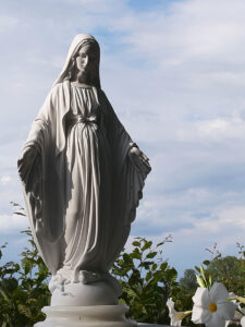 <a href="/prodotti/articoli-sacri-nicchie-madonne/madonna-immacolata-in-marmoresina/">statua della Madonna Immacolata</a> in marmoresina, altezza 50 cm, cod. 25MIM50MR, località: Castell'arquato (Piacenza) statua della Madonna Immacolata in marmoresina, altezza 50 cm, cod. 25MIM50MR, località: Castell'arquato (Piacenza)