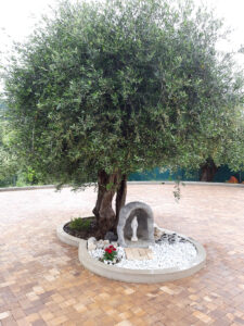 <a href="/prodotti/articoli-sacri-nicchie-madonne/madonna-di-medjugorje-in-marmoresina/">statua della Madonna di Medjugorje</a>, con <a href="/prodotti/articoli-sacri-nicchie-madonne/grotta-per-madonna/">grotta</a> col. antichizzato, località: Civitanova Marche (Macerata) Madonna di Medjugorje altezza 40 cm, con grotta col. antichizzato, località: Civitanova Marche (Macerata)