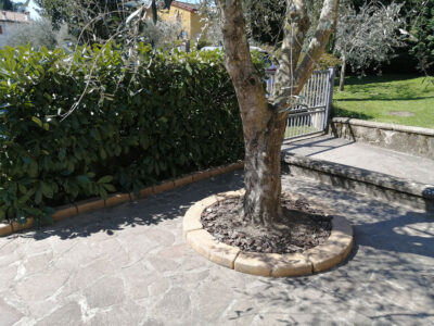 <a href="/prodotti/cordoli-bordure-piastre/bordo-dritto-25/">bordo dritto 25</a> e <a href="/prodotti/cordoli-bordure-piastre/bordo-curvo-80-100/">bordo curvo da 100</a> col. old stone, località: Vicchio (Firenze) bordo dritto 25 e bordo curvo 100 col. old stone, località: Vicchio (Firenze)