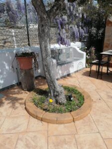 <a href="/prodotti/cordoli-bordure-piastre/bordo-curvo-130-180/">bordo curvo da 130</a> per aiuole col. old stone, cod. 05CU130OS, località: Cinisi (Palermo) bordo curvo da 130 per aiuole col. old stone, cod. 05CU130OS, località: Cinisi (Palermo)