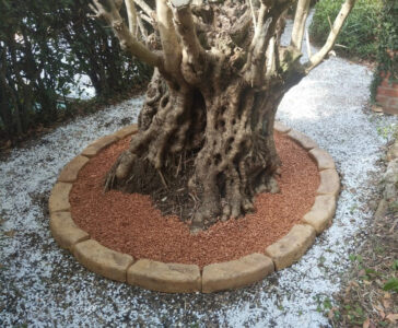 <a href="/prodotti/cordoli-bordure-piastre/bordo-curvo-80-100/">bordo curvo da 100</a> col. old stone, cod. 05CU100OS, località: Davagna (Genova) bordo curvo da 100 col. old stone, cod. 05CU100OS, località: Davagna (Genova)