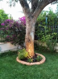 <a href="/prodotti/cordoli-bordure-piastre/bordo-curvo-80-100/">bordo curvo da 100</a> per aiuole col. old stone, cod. 05CU100OS, località: Napoli bordo curvo da 100 per aiuole col. old stone, cod. 05CU100OS, località: Napoli