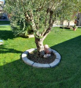 <a href="/prodotti/cordoli-bordure-piastre/bordo-curvo-130-180/">bordo curvo da 130</a> per aiuole col. antichizzato, cod. 05CU130AT, località: Vigevano (Pavia) bordo curvo da 130 per aiuole col. antichizzato, cod. 05CU130AT, località: Vigevano (Pavia)