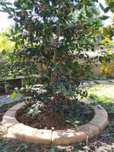 <a href="/prodotti/cordoli-bordure-piastre/bordo-curvo-130-180/">bordo curvo da 130</a> per aiuole col. mattone, cod. 05CU130M, località: Milano bordo curvo da 130 per aiuole col. mattone, cod. 05CU130M, località: Milano