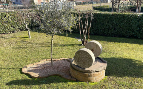<a href="/prodotti/cordoli-bordure-piastre/bordo-curvo-80-100/">bordo curvo da 80</a> col. old stone, cod. 05CU80OS, località: Villastellone (Torino) bordo curvo da 80 per aiuole col. old stone, cod. 05CU80OS, località: Villastellone (Torino)