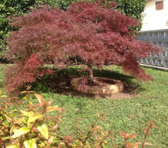 <a href="/prodotti/cordoli-bordure-piastre/bordo-curvo-80-100/">bordo curvo 80</a> per aiuole col. pietre del borgo, cod. 05CU80P, località: Porto Mantovano (Mantova) bordo curvo 80 per aiuole col. pietre del borgo, cod. 05CU80P, località: Porto Mantovano (Mantova)