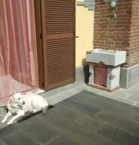 <a href="/prodotti/fontane-a-muro-e-lavelli/lavello-da-giardino-molveno/">lavello Molveno</a> col. bianco, cod. 03LMOGB, località: San Canzian d'Isonzo (Gorizia) lavello Molveno col. bianco, cod. 03LMOGB, località: San Canzian d'Isonzo (Gorizia)
