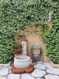 <a href="/prodotti/fontane-da-giardino/fontana-azalea/">fontana azalea</a> e <a href="/prodotti/cordoli-bordure-piastre/piastre-pedonali/">piastre pedonali</a>, col. bianco, cod. 03FAZGB, località: La Spezia fontana azalea e piastre pedonali, col. bianco, cod. 03FAZGB, località: La Spezia