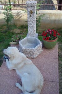<a href="/prodotti/fontane-da-giardino/fontana-esagonale-45/">fontana esagonale 45</a> ghiaia colorata, cod. 03F45C, località: Chivasso (Torino) fontana esagonale 45 ghiaia colorata, cod. 03F45C, località: Chivasso (Torino)