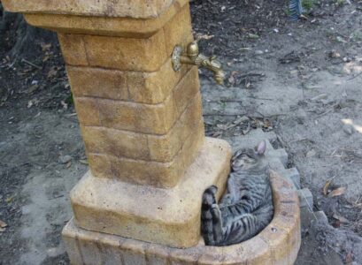 <a href="/prodotti/fontane-da-giardino/fontana-fiorita/">fontana fiorita</a> col. old stone, cod. 03FFOS, località: Valli di Chioggia (Venezia) fontana fiorita col. old stone, cod. 03FFOS, località: Valli di Chioggia (Venezia)