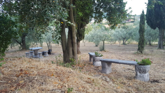 <a href="/prodotti/tavoli-e-panchine-per-giardino/panchina-roccia/">panchina roccia</a> e <a href="/prodotti/tavoli-e-panchine-per-giardino/salotto-roccia-/">salotto roccia</a> col. antichizzato, cod. 04PRAT, località: Quarrata Loc. Tizzana (Pistoia) panchina roccia e salotto roccia col. antichizzato, cod. 04PRAT, località: Quarrata Loc. Tizzana (Pistoia)