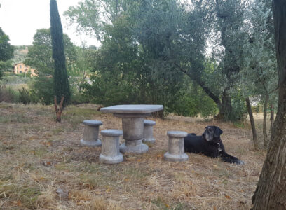 <a href="/prodotti/tavoli-e-panchine-per-giardino/salotto-roccia-/">salotto roccia</a> col. antichizzato, cod. 04SRAT, località: Quarrata Loc. Tizzana (Pistoia) salotto roccia col. antichizzato, cod. 04SRAT, località: Quarrata Loc. Tizzana (Pistoia)