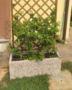 <a href="/prodotti/vasi-fioriere/fioriera-rettangolare-100x35/">fioriera rettangolare 100x35</a> ghiaia colorata, cod. 01FR100x35C, località: Menà (Verona) fioriera rettangolare 100x35 ghiaia colorata, cod. 01FR100x35C, località: Menà (Verona)