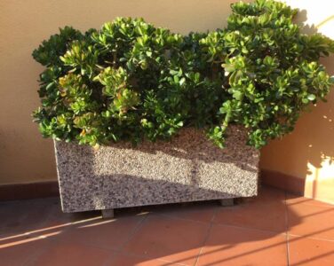 <a href="/prodotti/vasi-fioriere/fioriera-rettangolare-100x35/">fioriera rettangolare 100x35</a> ghiaia di fiume, cod. 01FR100x35F, località: Arzachena (Sassari) fioriera rettangolare 100x35 ghiaia di fiume, cod. 01FR100x35F, località: Arzachena (Sassari)