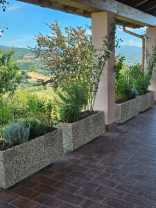 <a href="/prodotti/vasi-fioriere/fioriera-rettangolare-100x35/">fioriera rettangolare 100x35</a> ghiaia colorata, cod. 01FR100x35C, località: Cantalupo Ligure (Alessandria) fioriera rettangolare 100x35 ghiaia colorata, cod. 01FR100x35C, località: Cantalupo Ligure (Alessandria)