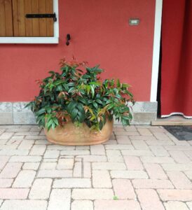 <a href="/prodotti/vasi-fioriere/vaso-azalea/">vaso azalea</a> col. pietre del borgo, cod. 02VAP, località: Fratta Polesine (Rovigo) vaso azalea col. pietre del borgo, cod. 02VAP, località: Fratta Polesine (Rovigo)