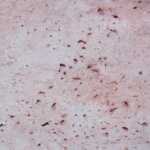 rosa antico: finitura tipica di manufatti dall'aspetto marmoreo non levigato, con colore rosato