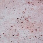 rosa antico: finitura tipica di manufatti dall'aspetto marmoreo non levigato, con colore rosato rosa antico: finitura tipica di manufatti dall'aspetto marmoreo non levigato, con colore rosato