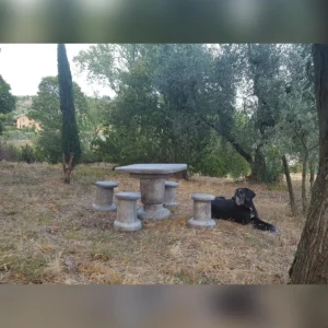 salotto roccia col. antichizzato, cod. 04SRAT, località: Quarrata Loc. Tizzana (Pistoia)